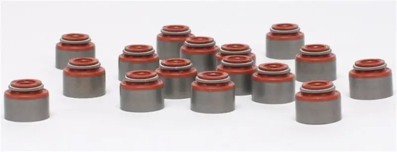 Skunk2 Honda/Acura (B/D/F/K Series) Viton Valve Stem Seal Kit 1