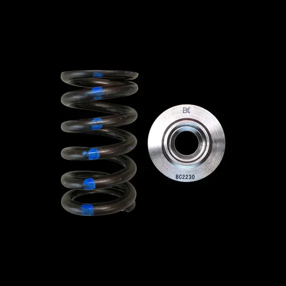 Brian Crower 90Lbs Valve Springs Titanium Retainers Nissan Skyline Gtr Gt-R R32 R33 Rb26dett Bc0230 1