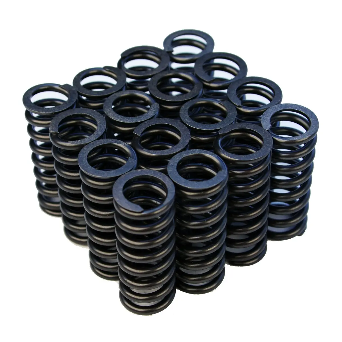 Blox Racing Valve Springs - D-Series 1