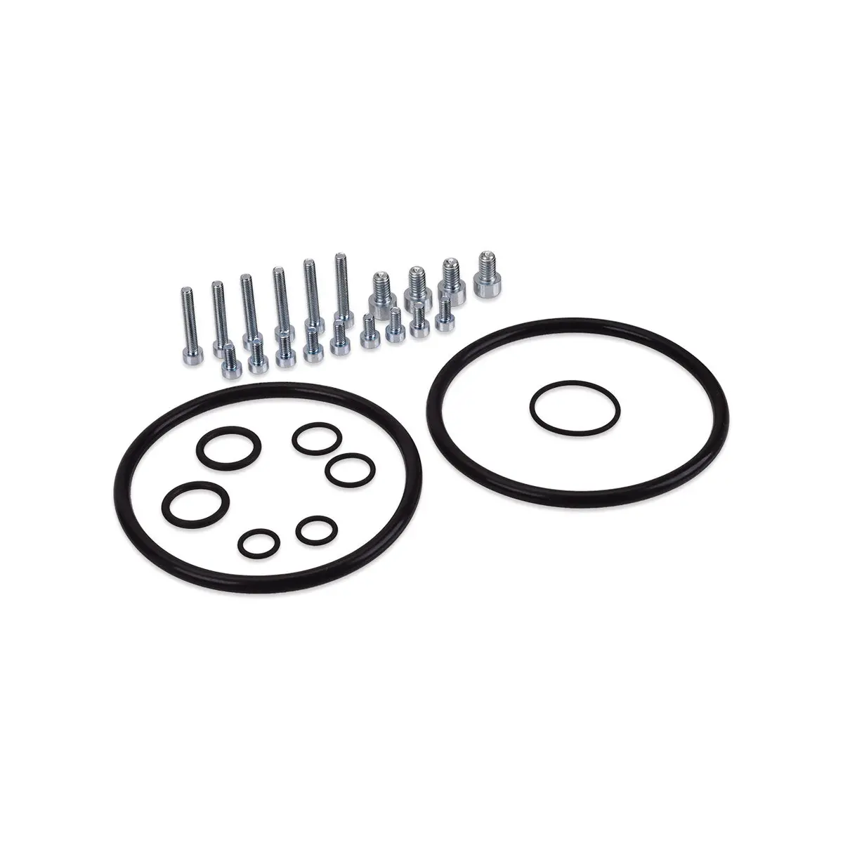 Iag Aos Replacement O-Ring Seals And Hardware Set. 1