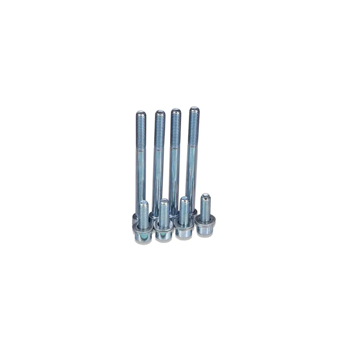 Iag Replacement Hardware Set For Iag Ej V1 Tgv's Using Oem Gaskets (No Spacers). 1