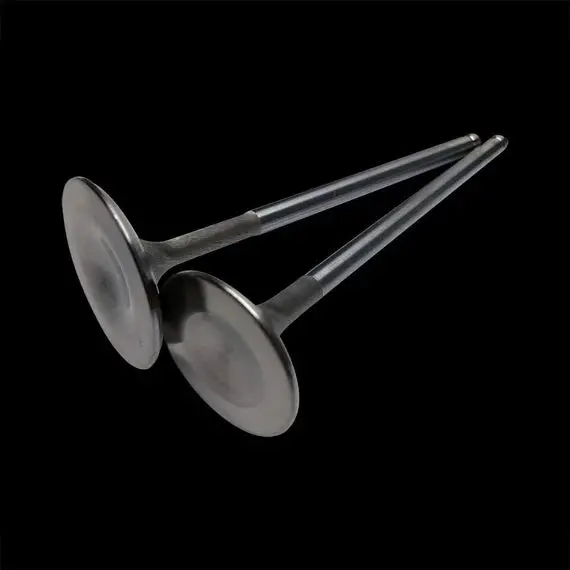 Bc3225 - Nissan Vq35de Exhaust Valves (32.35Mm / +1Mm) - Set/12 1