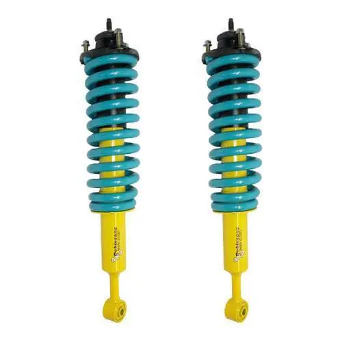Dobinsons Assemble Pair Of Struts W/Coil And Cap - Strutassy 1