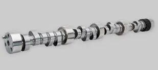 Vortec 8100 8.1L / 496 Engine Raylar Naturally Aspirated Camshafts 1